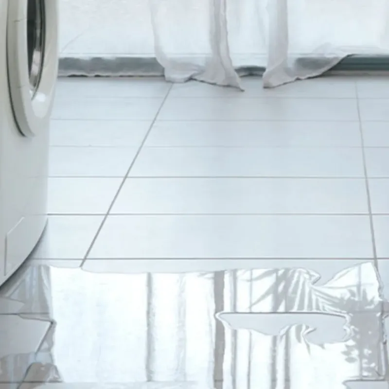 Appliance Leak Cleanup in Thatcher, AZ