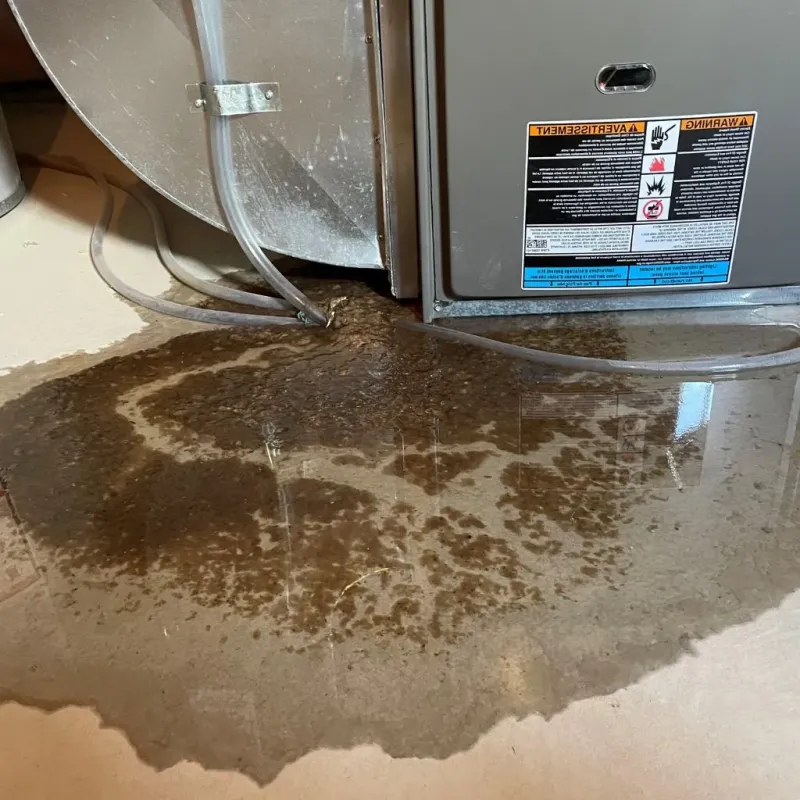 Pipe Burst and Leak Restoration in Thatcher, AZ